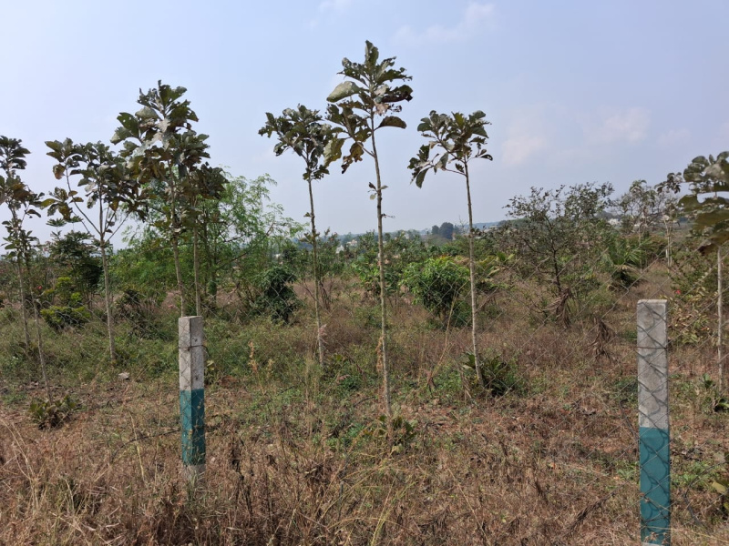  43600 Sq.ft. Agricultural/Farm Land for Sale in Thalli, Hosur