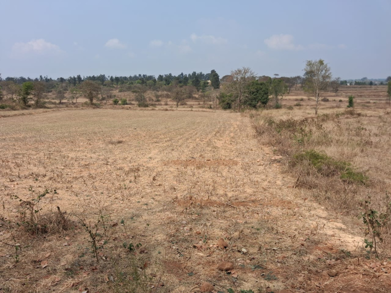  46652 Sq.ft. Agricultural/Farm Land for Sale in Thalli, Hosur