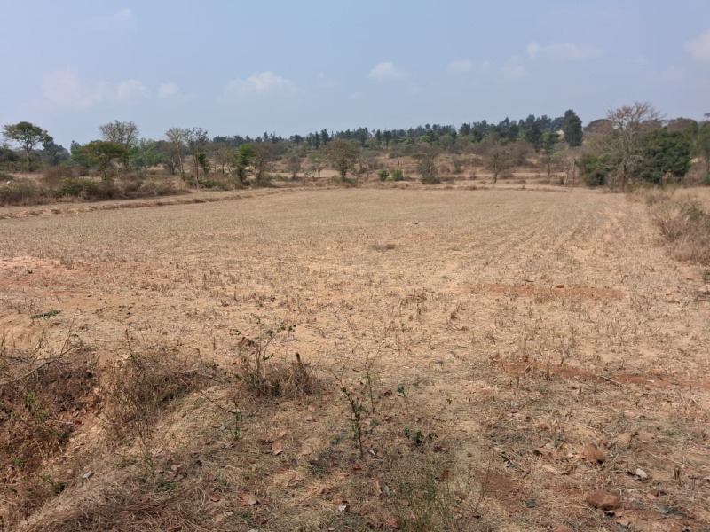  46652 Sq.ft. Agricultural/Farm Land for Sale in Thalli, Hosur