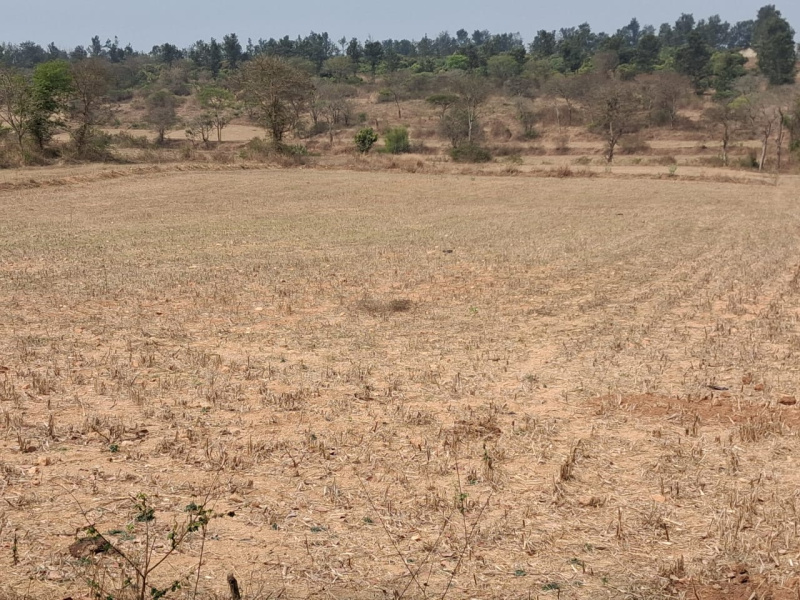  46652 Sq.ft. Agricultural/Farm Land for Sale in Thalli, Hosur