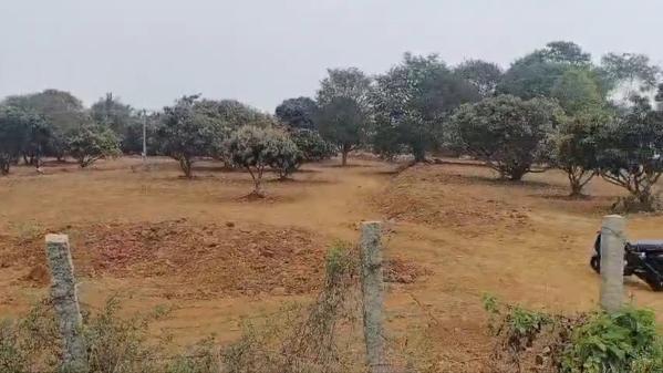  741200 Sq.ft. Agricultural/Farm Land for Sale in Thalli, Hosur