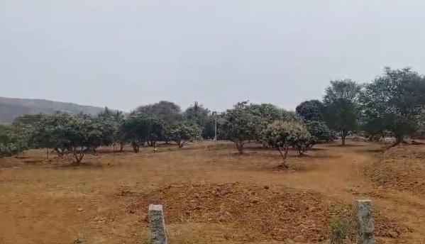  741200 Sq.ft. Agricultural/Farm Land for Sale in Thalli, Hosur