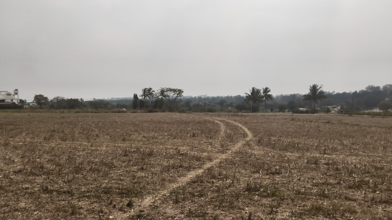  261600 Sq.ft. Agricultural/Farm Land for Sale in Karapalli, Hosur