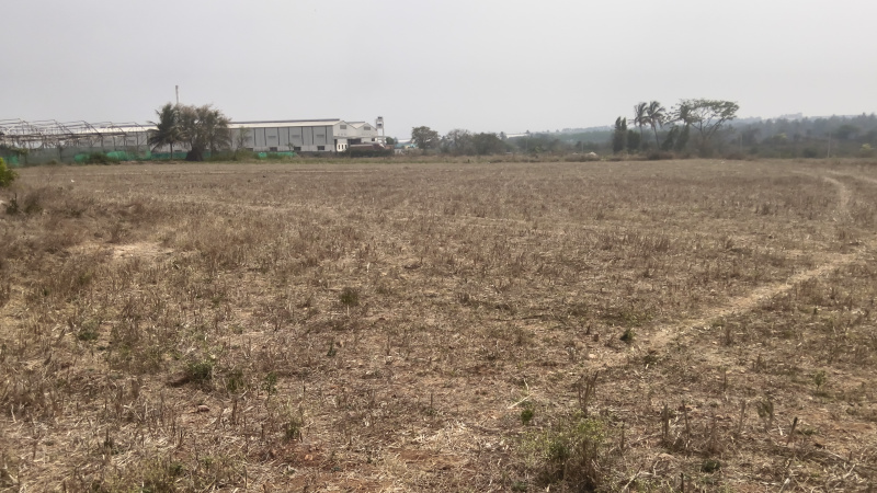  261600 Sq.ft. Agricultural/Farm Land for Sale in Karapalli, Hosur