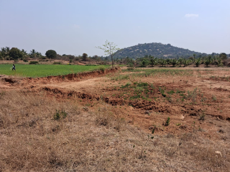  37060 Sq.ft. Agricultural/Farm Land for Sale in Rayakottai Road, Hosur