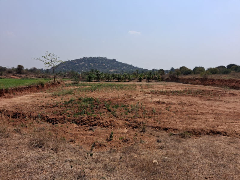  37060 Sq.ft. Agricultural/Farm Land for Sale in Rayakottai Road, Hosur