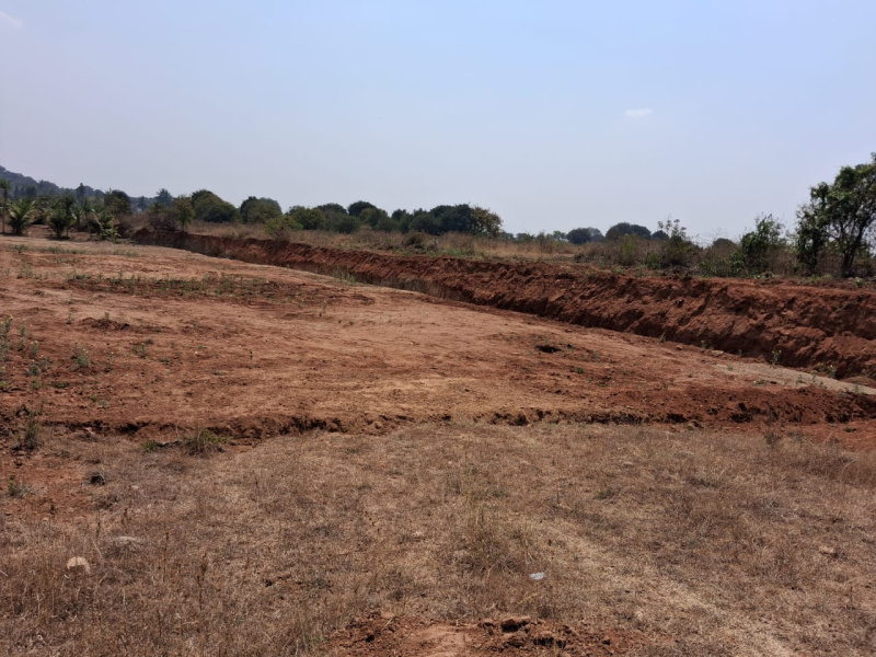  37060 Sq.ft. Agricultural/Farm Land for Sale in Rayakottai Road, Hosur