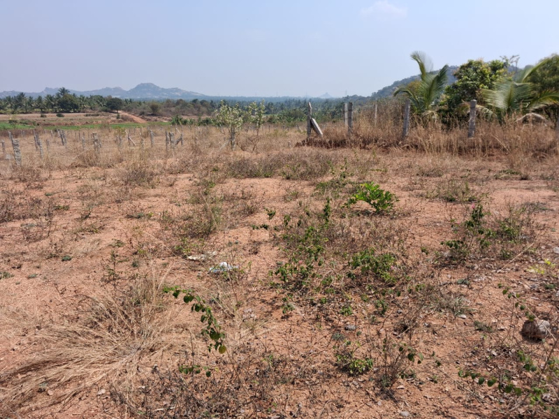  13952 Sq.ft. Agricultural/Farm Land for Sale in Rayakottai Road, Hosur