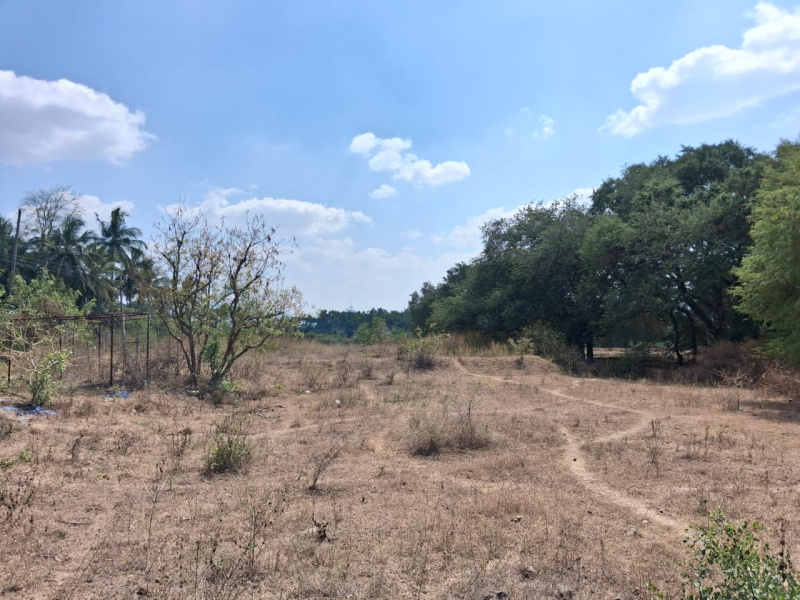 392400 Sq.ft. Agricultural/Farm Land for Sale in Marandahalli, Dharmapuri