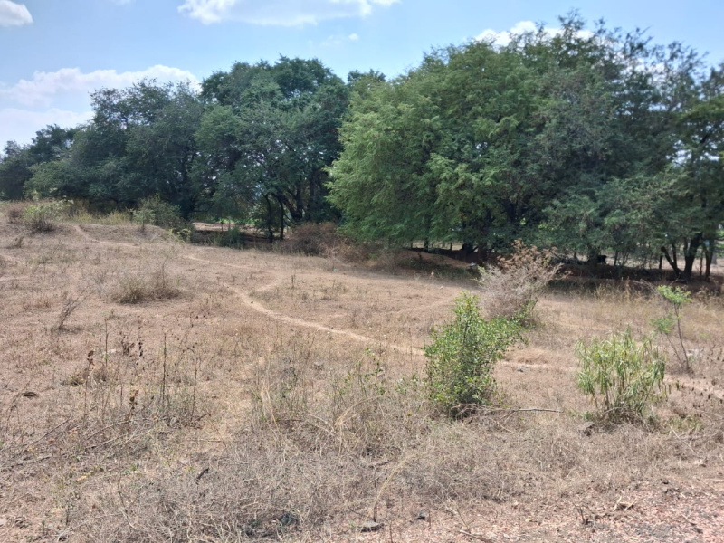  392400 Sq.ft. Agricultural/Farm Land for Sale in Marandahalli, Dharmapuri