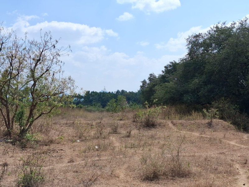  392400 Sq.ft. Agricultural/Farm Land for Sale in Marandahalli, Dharmapuri