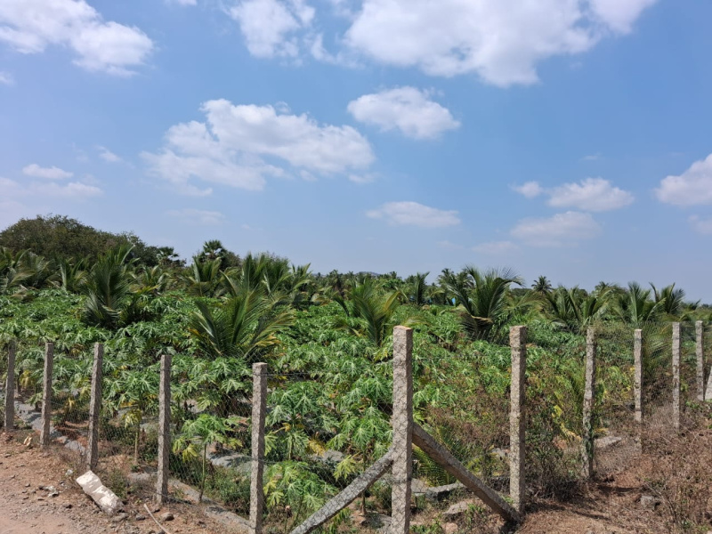  87200 Sq.ft. Agricultural/Farm Land for Sale in Marandahalli, Dharmapuri