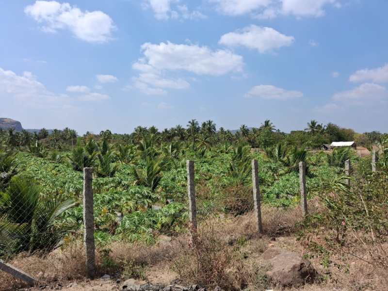  87200 Sq.ft. Agricultural/Farm Land for Sale in Marandahalli, Dharmapuri