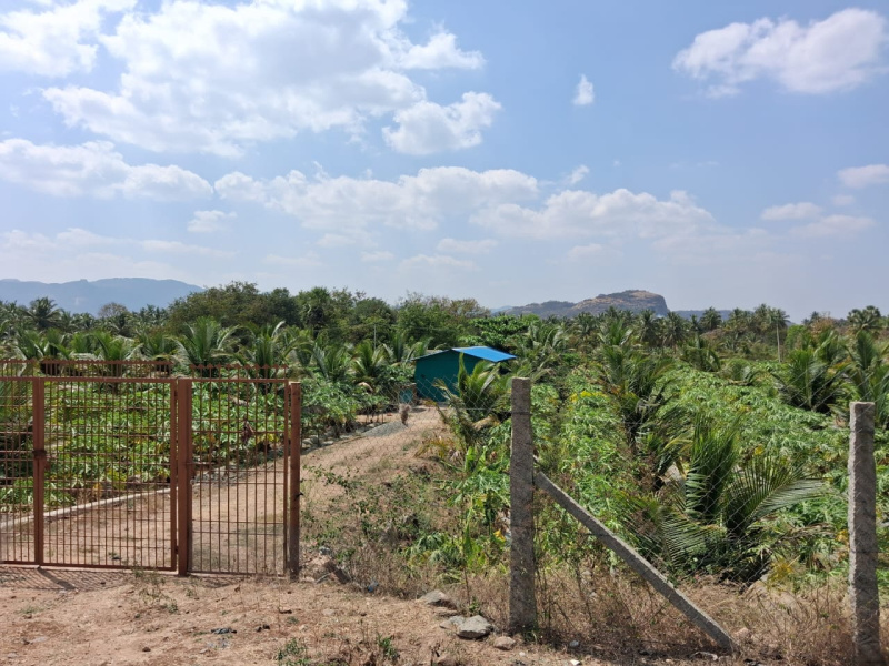  87200 Sq.ft. Agricultural/Farm Land for Sale in Marandahalli, Dharmapuri