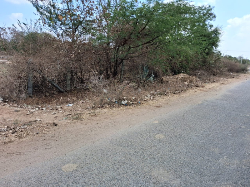  218000 Sq.ft. Agricultural/Farm Land for Sale in Marandahalli, Dharmapuri