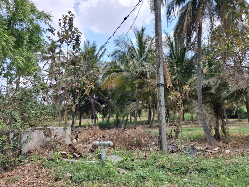  196200 Sq.ft. Agricultural/Farm Land for Sale in Marandahalli, Dharmapuri