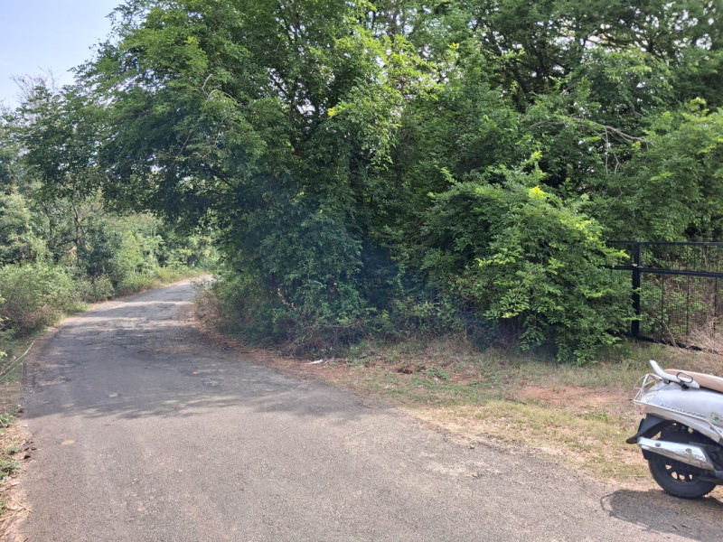  115540 Sq.ft. Agricultural/Farm Land for Sale in Thalli, Krishnagiri