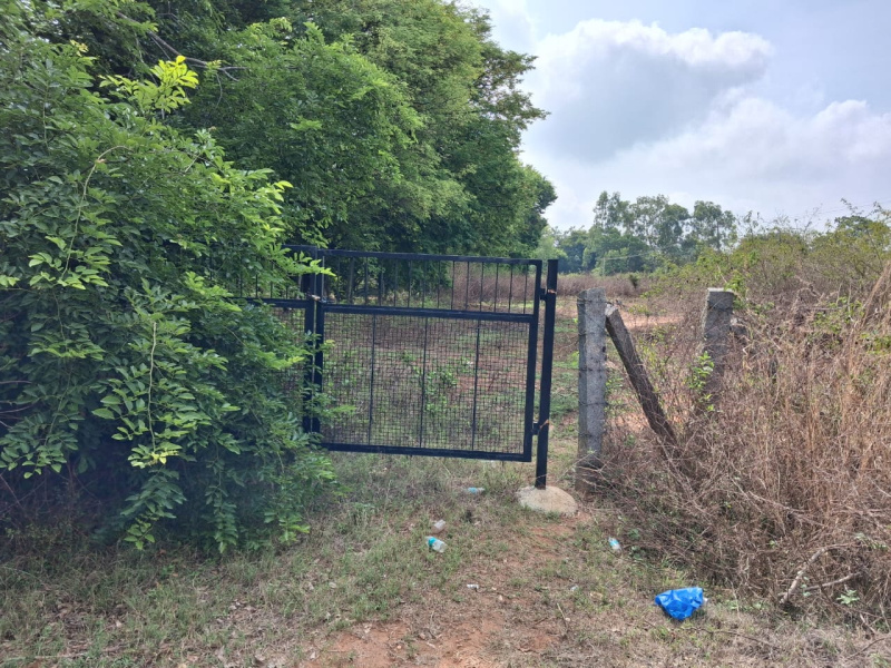  115540 Sq.ft. Agricultural/Farm Land for Sale in Thalli, Krishnagiri