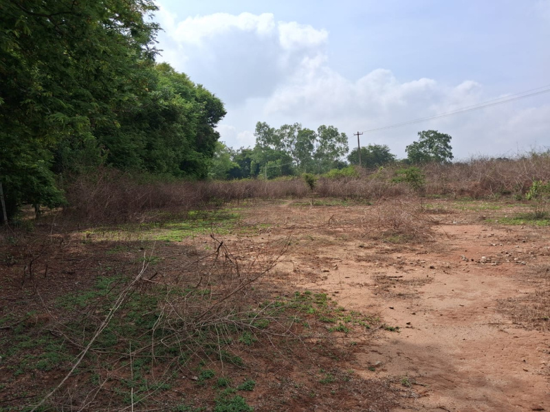  115540 Sq.ft. Agricultural/Farm Land for Sale in Thalli, Krishnagiri