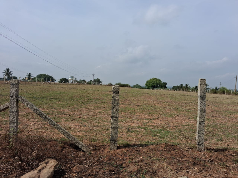  2 Acre Agricultural/Farm Land for Sale in Hosur Taluk, Krishnagiri