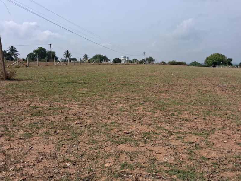  2 Acre Agricultural/Farm Land for Sale in Hosur Taluk, Krishnagiri