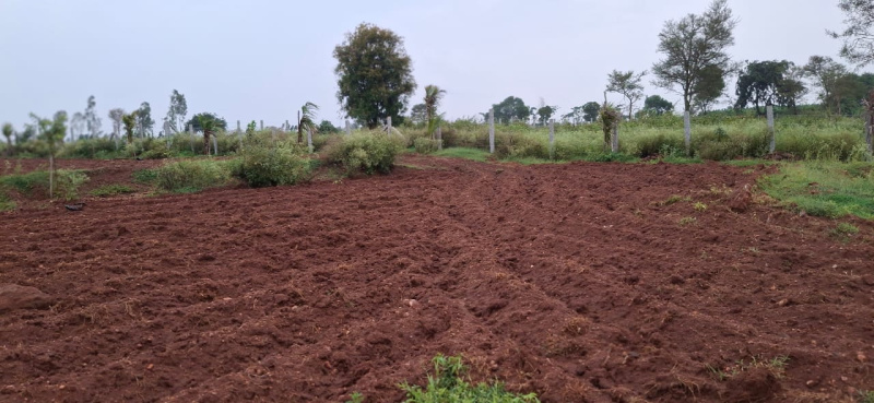  3 Acre Agricultural/Farm Land for Sale in Thalli, Hosur