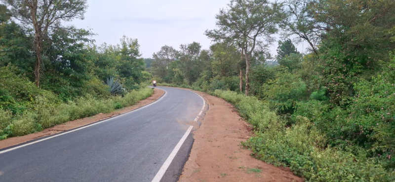  3 Acre Agricultural/Farm Land for Sale in Thalli, Hosur