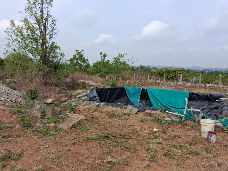  4 Acre Agricultural/Farm Land for Sale in Thalli, Hosur