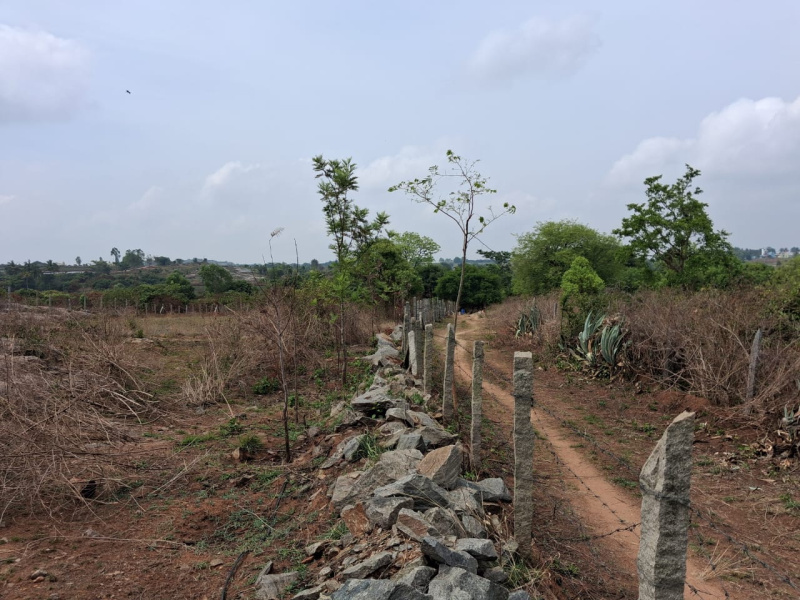  4 Acre Agricultural/Farm Land for Sale in Thalli, Hosur