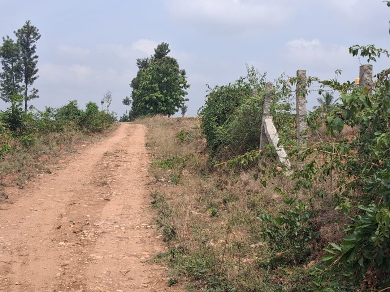  1 Acre Agricultural/Farm Land for Sale in Thalli, Hosur