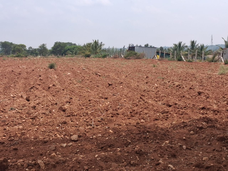  1 Acre Agricultural/Farm Land for Sale in Thalli, Hosur