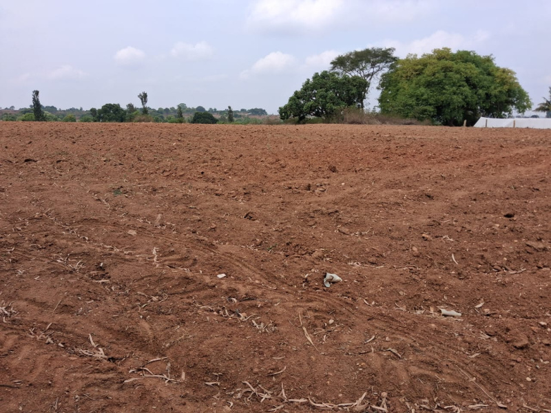  1 Acre Agricultural/Farm Land for Sale in Thalli, Hosur