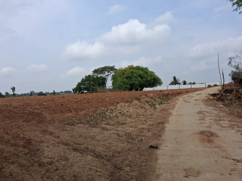  1 Acre Agricultural/Farm Land for Sale in Thalli, Hosur