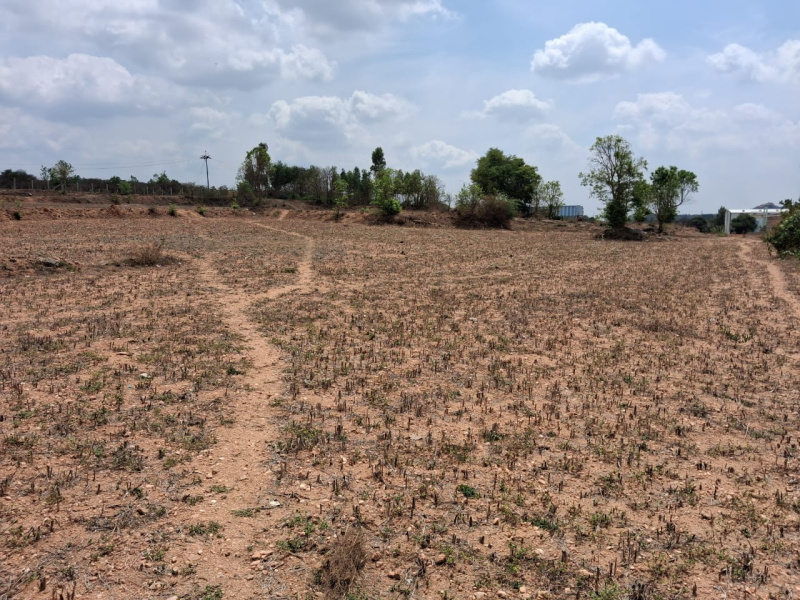  1 Acre Agricultural/Farm Land for Sale in Hosur Taluk, Krishnagiri