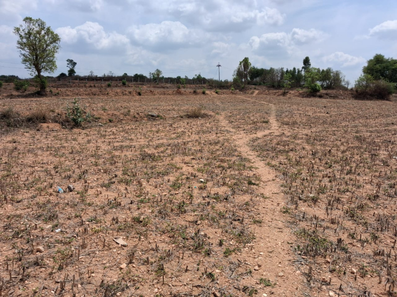  1 Acre Agricultural/Farm Land for Sale in Hosur Taluk, Krishnagiri