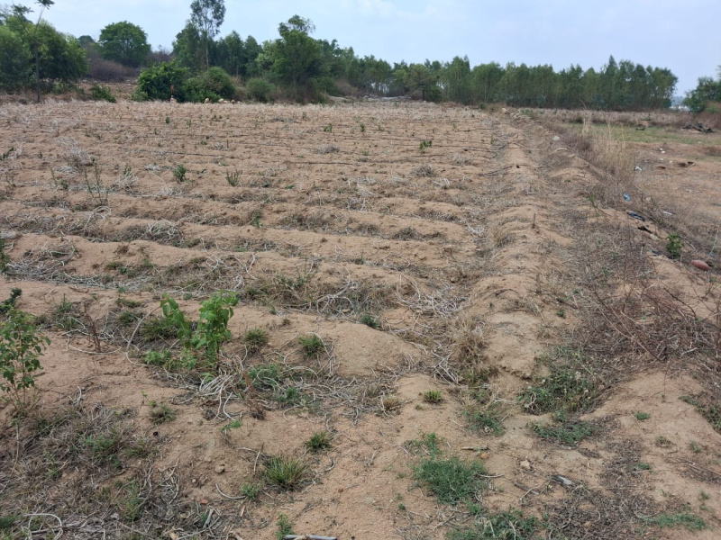  2 Acre Agricultural/Farm Land for Sale in Shoolagiri, Hosur