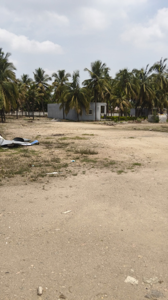  3 Acre Agricultural/Farm Land for Sale in Shoolagiri, Krishnagiri