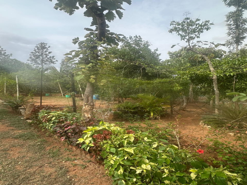 Shoolagiri, Hosur photo 5