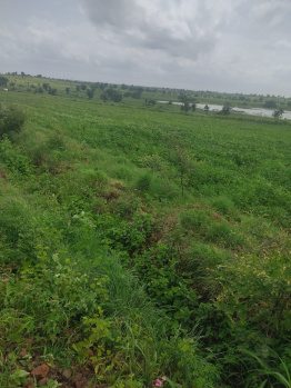  Agricultural Land for Sale in Mehkar, Buldana