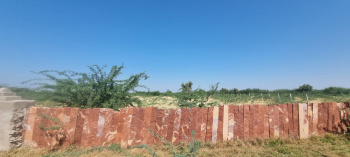  Agricultural Land for Sale in Rani, Pali
