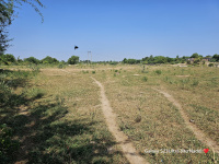  Residential Plot for Sale in Nadol, Pali