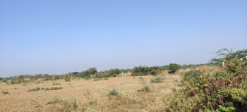  Agricultural Land for Sale in Nadol, Pali
