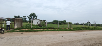  Agricultural Land for Sale in Rani, Pali