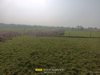  Residential Plot for Sale in Barang, Cuttack