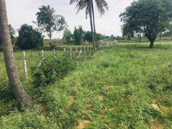  Agricultural Land for Sale in Berigai, Krishnagiri