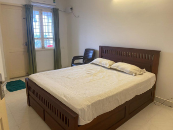 3 BHK Flat for Rent in Palarivattom, Ernakulam