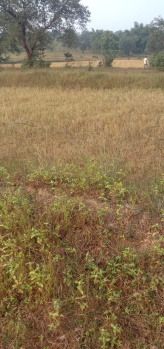  Agricultural Land for Sale in Chandapur, Nayagarh