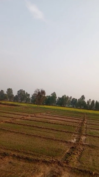  Agricultural Land for Sale in Najibabad, Bijnor