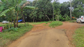  Commercial Land for Sale in Muvattupuzha, Ernakulam