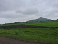 Residential Plot for Sale in Rau Pithampur Road, Indore